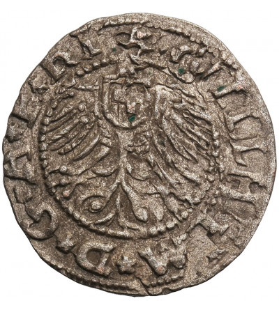 Zakon Kawalerów Mieczowych, Wilhelm Margraf von Brandenburg 1539-1563. Szeląg 1563, Ryga