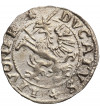 Inflanty, Livonia. Szeląg 1572, mennica Dahlholm (Dahlen), Jan Hieronim Chodkiewicz 1572-1573