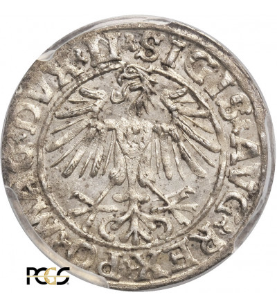 Poland / Lithuania, . Zygmunt II August. Polgrosz (1/2 Grosza) 1549, Vilnius - PCGS MS 63