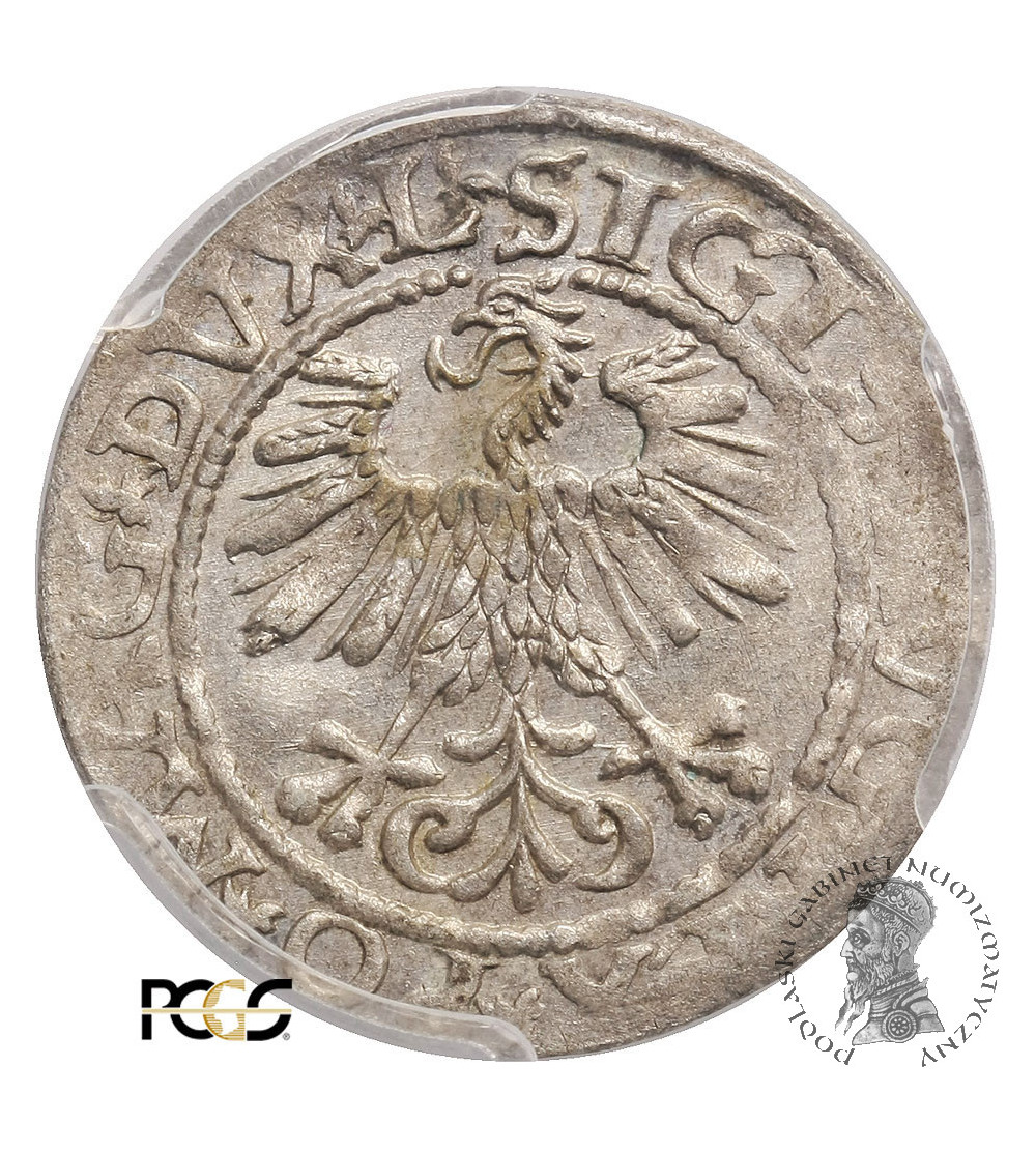 Polska, Zygmunt II August 1545-1572. Półgrosz (1/2 grosza) 1561, Wilno - PCGS MS 62 Polska, Zygmunt II August 1545-1572. Półgrosz (1/2 grosza) 1561, Wilno - PCGS MS 62
