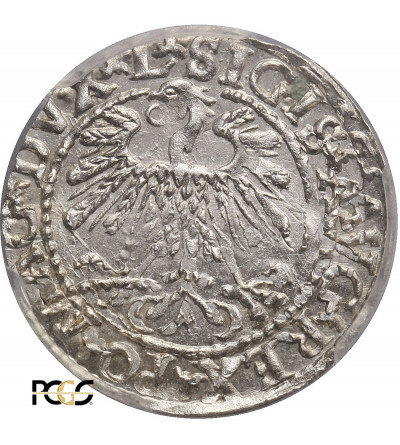 Poland / Lithuania, Zygmunt II August 1545-1572. Polgrosz (1/2 Grosza) 1559, Vilnius - PCGS MS 63