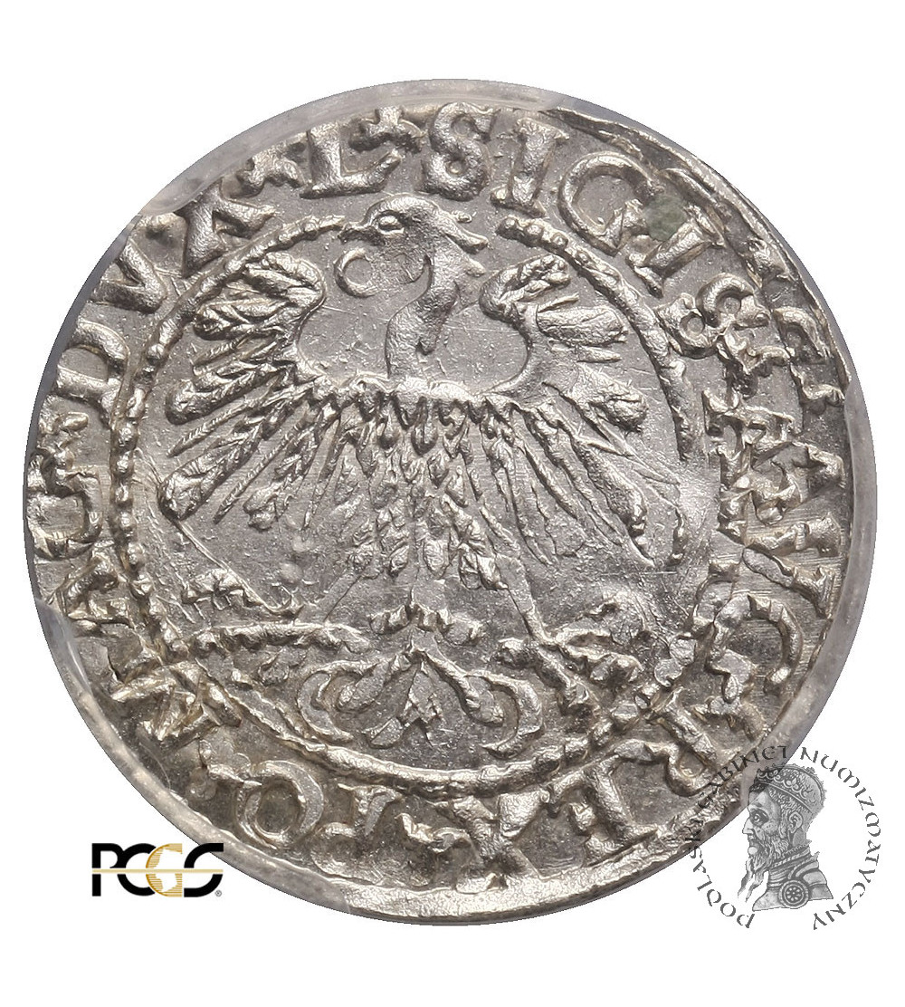 Polska, Zygmunt II August 1545-1572. Półgrosz (1/2 grosza) 1559, Wilno - PCGS MS 63