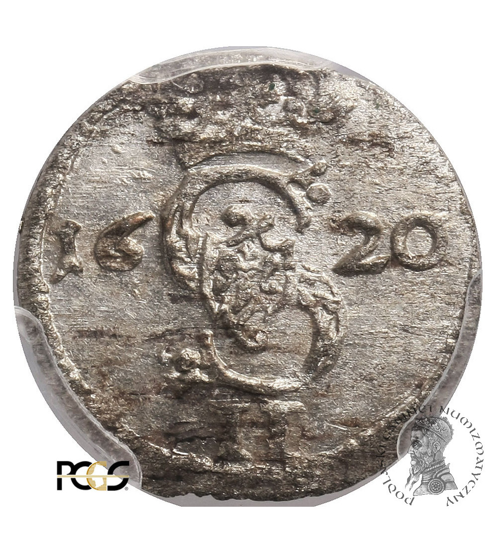 Polska. Zygmunt III Waza. Dwudenar 1620, Wilno - PCGS MS 62 Polska. Zygmunt III Waza. Dwudenar 1620, Wilno - PCGS MS 62