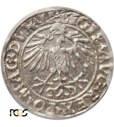 Polska, Zygmunt II August. Półgrosz litewski 1550, Wilno - PCGS MS 64