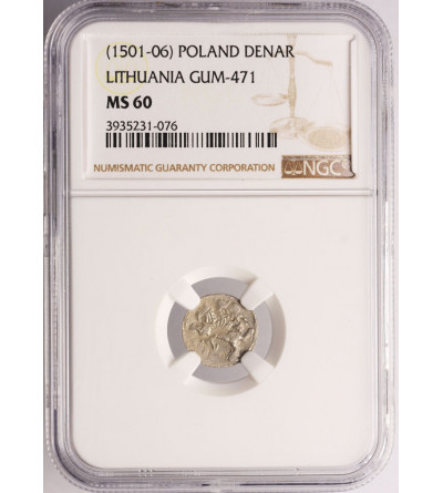 Polska, Aleksander Jagiellończyk 1501-1506. Denar bez daty, Wilno (gotycka A) - NGC MS 60