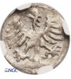 Poland / Lithuania, Alexander Jagiellon 1501-1506. Denar (Penny) no date, Vilnis mint - NGC MS 60