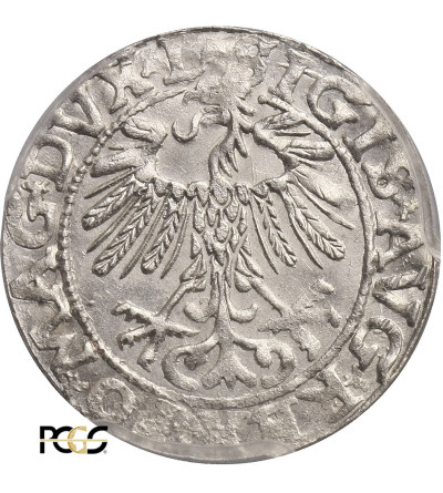 Polska, Zygmunt II August 1545-1572. Półgrosz litewski (1/2 grosza) 1557, Wilno - PCGS MS 63