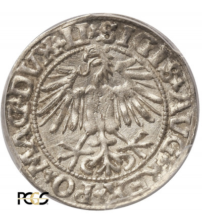 Polska, Zygmunt II August 1545-1572. Półgrosz litewski (1/2 grosza) 1549, Wilno - PCGS MS 63