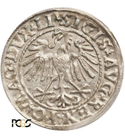 Polska, Zygmunt II August 1545-1572. Półgrosz litewski (1/2 grosza) 1547, Wilno - PCGS MS 63
