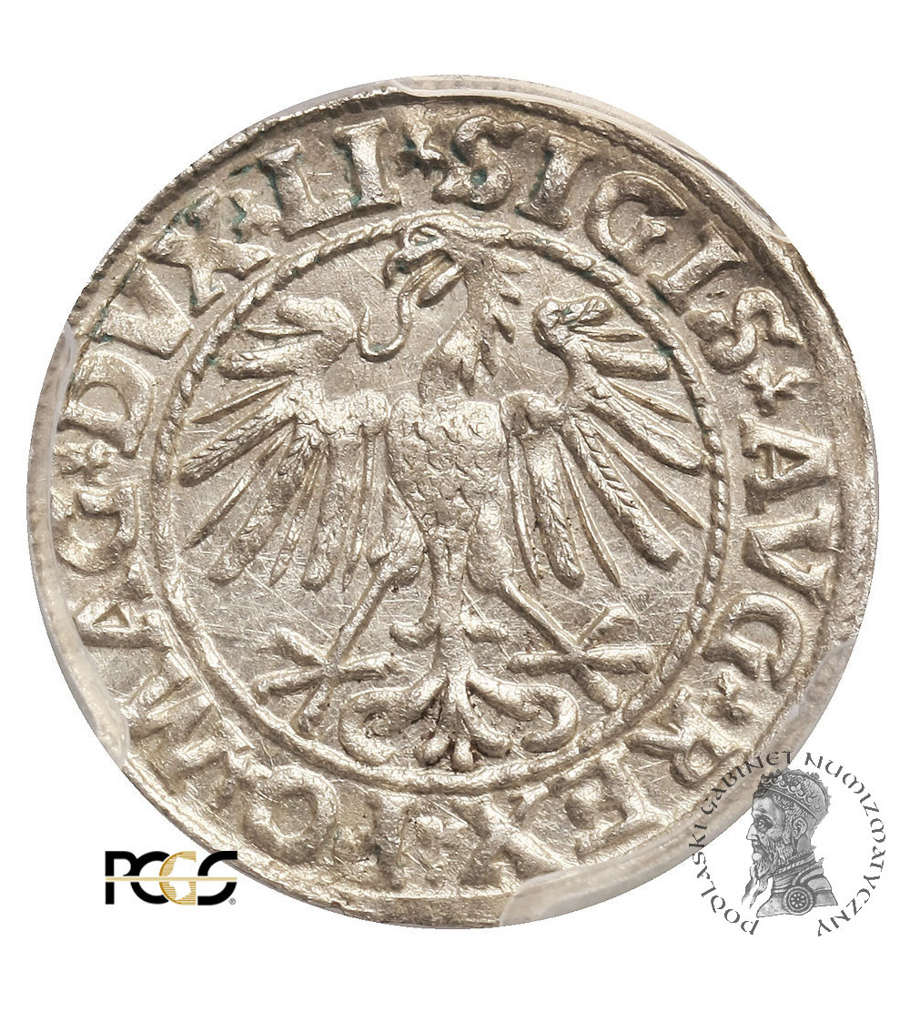 Polska, Zygmunt II August 1545-1572. Półgrosz litewski (1/2 grosza) 1547, Wilno - PCGS MS 63