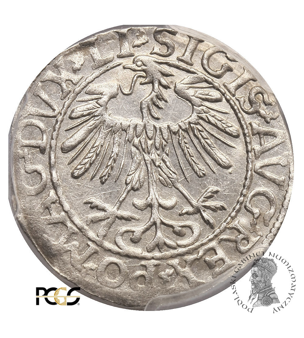 Poland / Lithuania, Zygmunt II August 1545-1572. Lithuanien Polgrosz (1/2 Grosza) 1557, Vilnius - PCGS MS 63 Poland / Lithuania, Zygmunt II August 1545-1572. Lithuanien Polgrosz (1/2 Grosza) 1557, Vilnius - PCGS MS 63