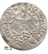Poland / Lithuania, Zygmunt II August 1545-1572. Lithuanian Polgrosz (1/2 Grosza) 1557, Vilnius - PCGS MS 63
