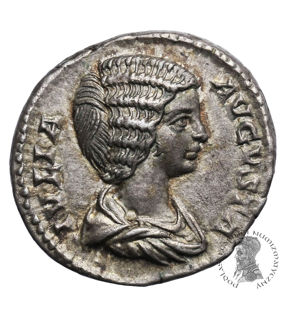 Roman Empire. Julia Domna 196-211AD. AR Denarius, Rome mint