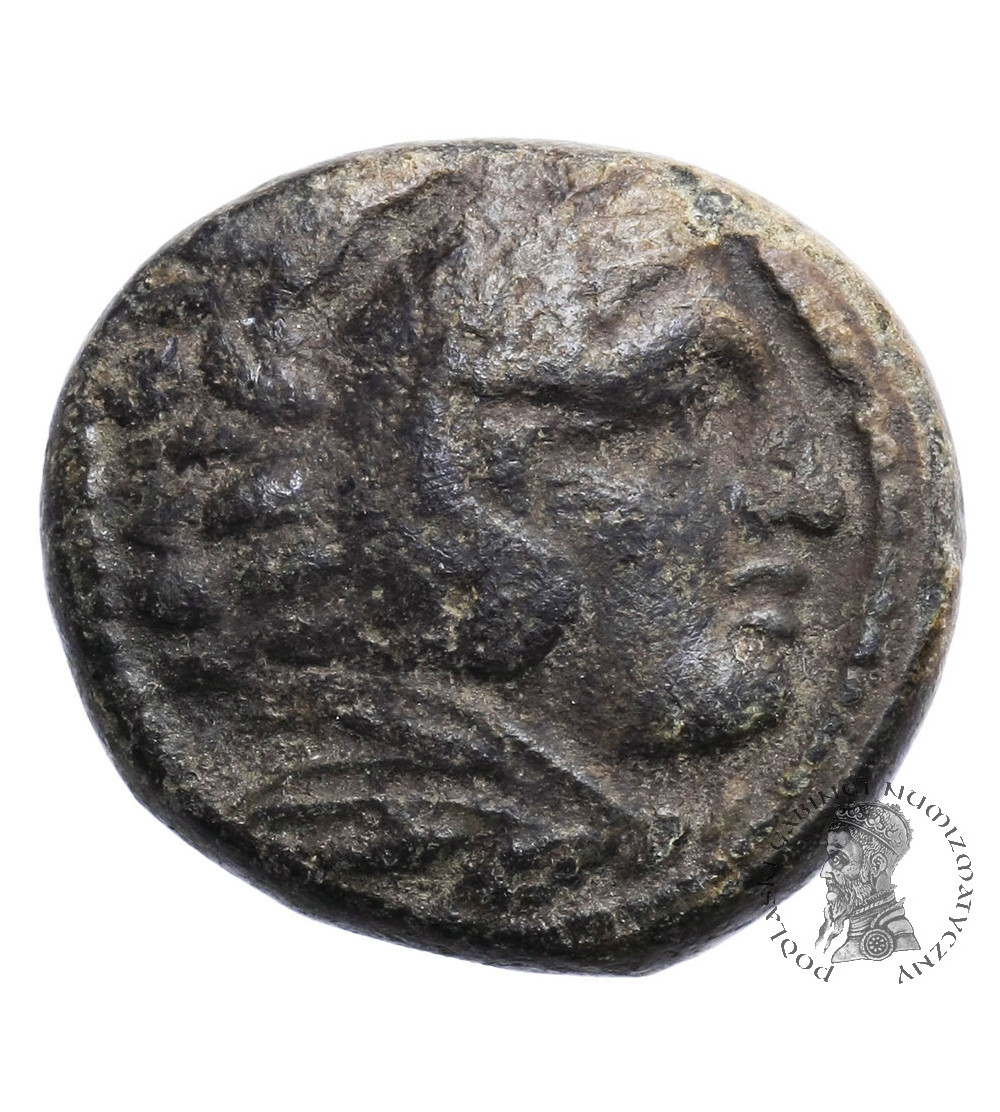 Grecja. Macedonia. Aleksander III Wielki, Kassander, ok. 325-310 r. p.n.e. AE Unit, brąz 18 mm, waga 6,94 g.