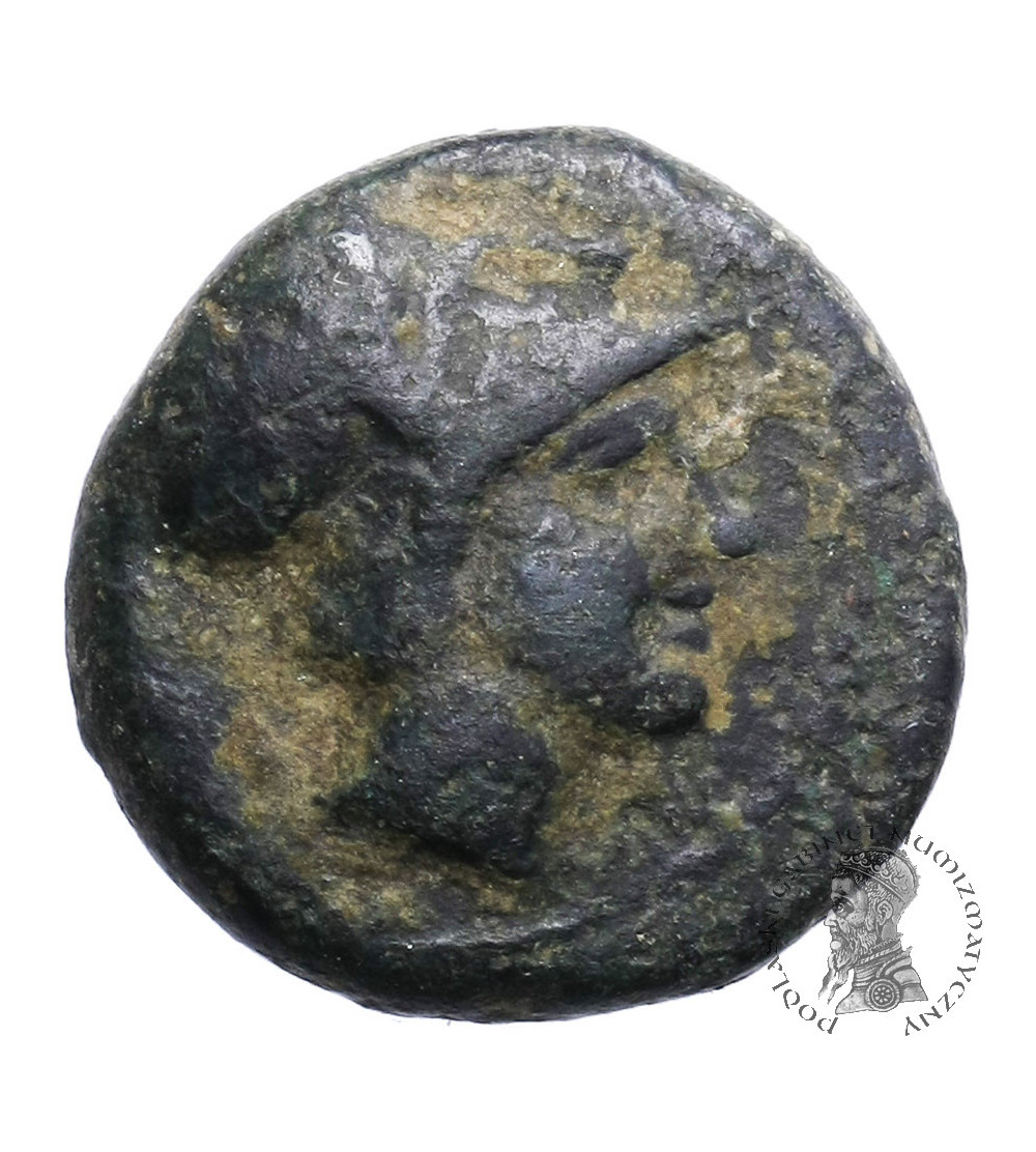 Kingdom of Macedon. Demetrios I Poliorketes, circa 300-295 BC. AE 12 mm,  Salamis