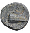 Grecja. Macedonia. Demetrios I Poliorketes, ok. 300-295 r. p.n.e. AE 12 mm, mennica Salamis