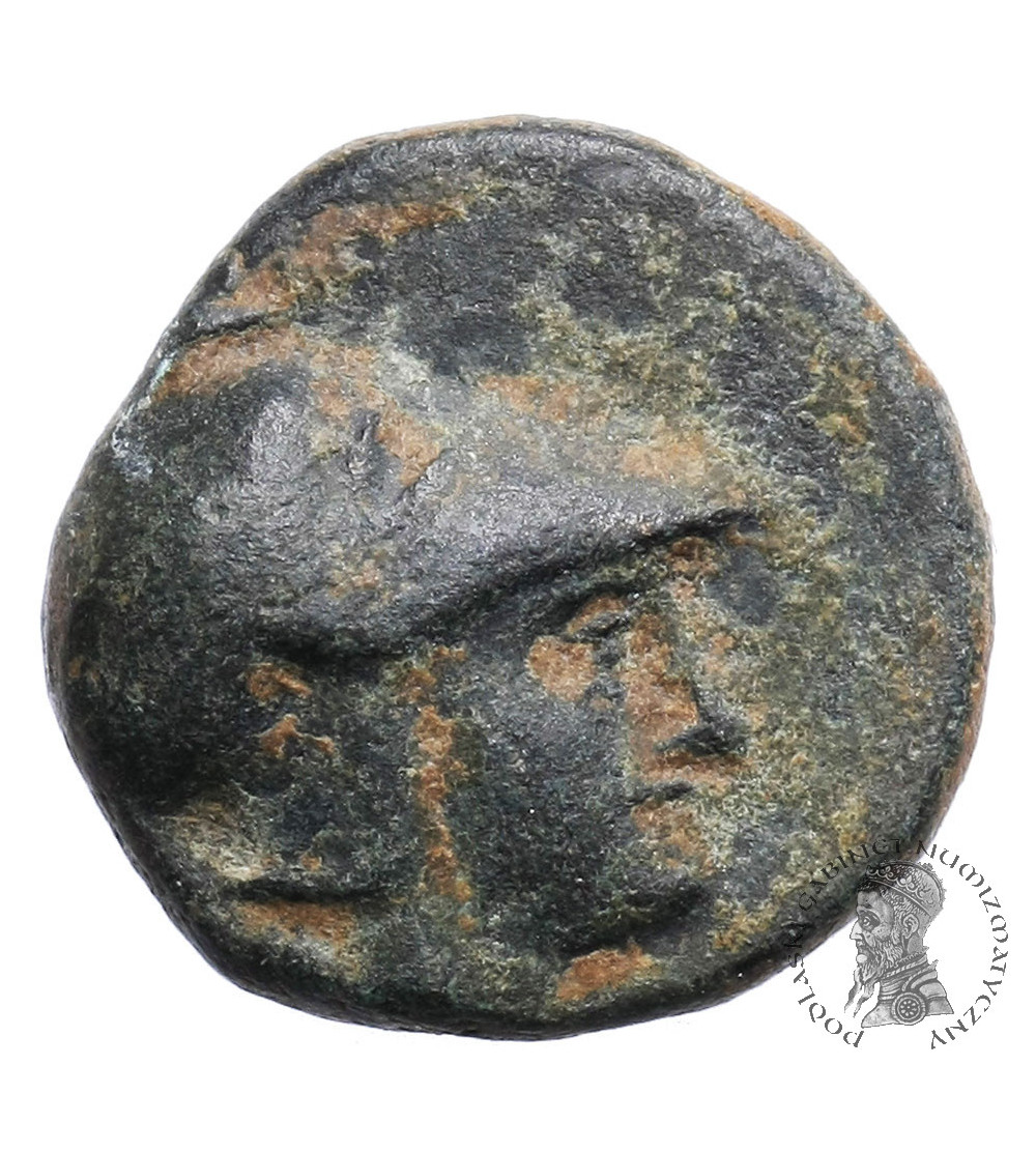 Grecja. Macedonia. Demetrios I Poliorketes, ok. 300-295 r. p.n.e. AE 12 mm, mennica Salamis