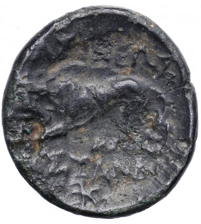 Kingdom of Macedon. Kassander, 305-298 BC. AE Unit, Bronze 17 mm, Pella