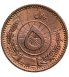 Afghanistan 5 pul 1316 SH / 1937 AD, Muhammed Zahir Shah