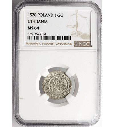 Poland / Lithuanien, Zygmunt I Stary. Polgrosz (Half Grosz) 1528, Vilnius mint - NGC MS 64