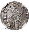 Crusaders, Lusignan Kingdom of Cyprus (1192-1489 AD). Gros grand ND, Henry II (1285–1324 AD) - NGC MS 63