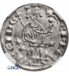 Crusaders, Lusignan Kingdom of Cyprus (1192-1489 AD). Gros grand ND, Henry II (1285–1324 AD) - NGC MS 63