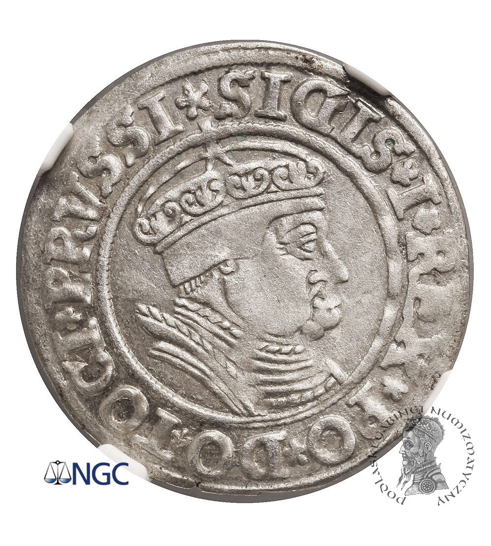 Poland, Zygmunt I Stary 1506-1548. Grosz (Groschen / Penny) 1535, Torun (Thorn) mint - NGC MS 61