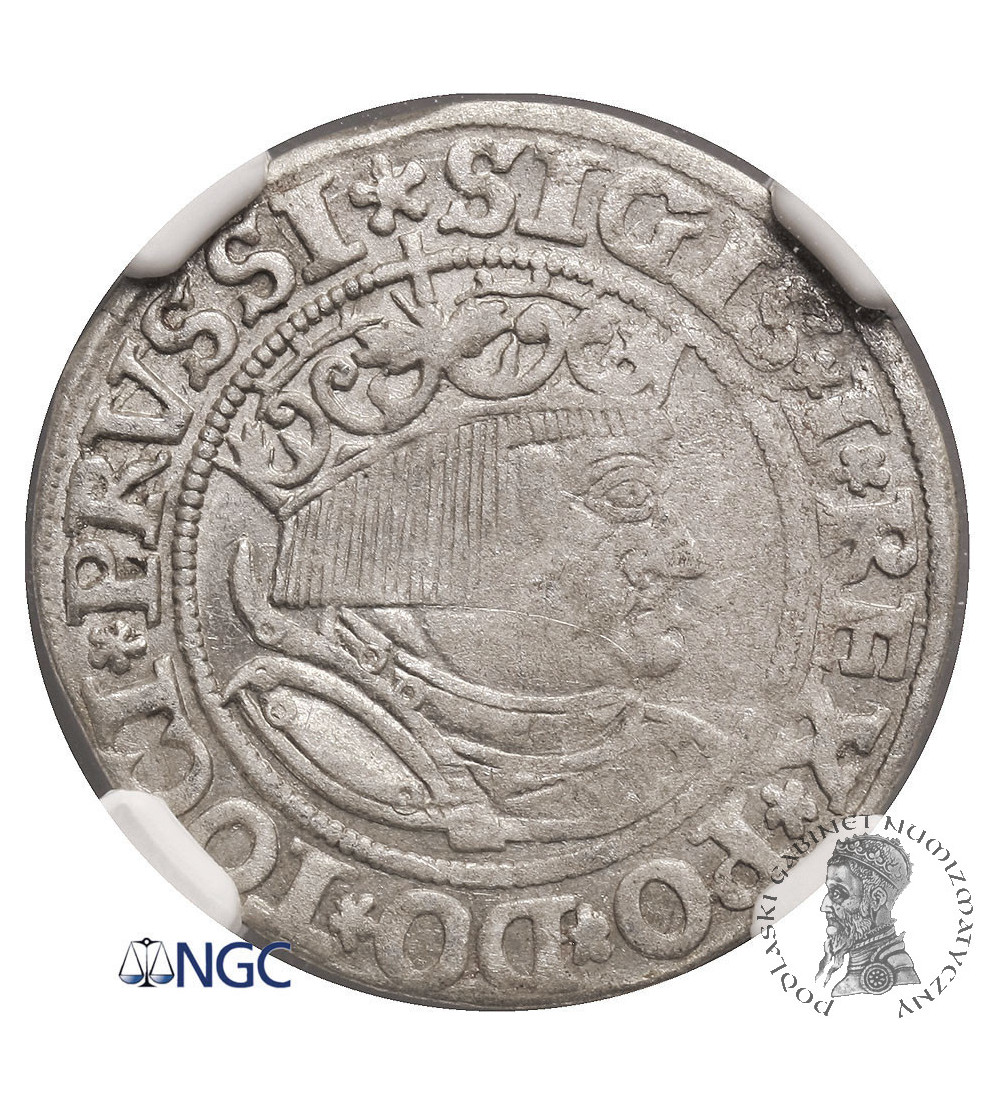 Polska, Zygmunt I Stary 1506-1548. Grosz 1532, mennica Toruń - NGC AU 58
