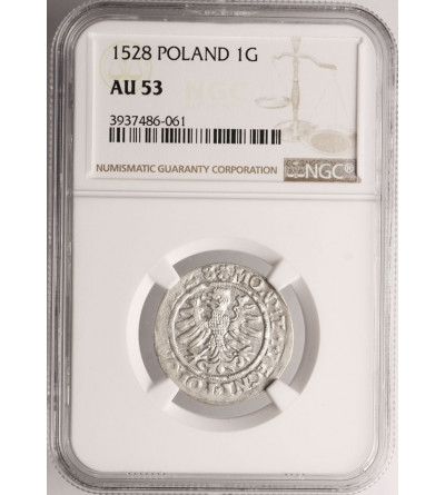 Polska, Zygmunt I Stary 1506-1548. Grosz koronny 1528, mennica Kraków - NGC AU 53