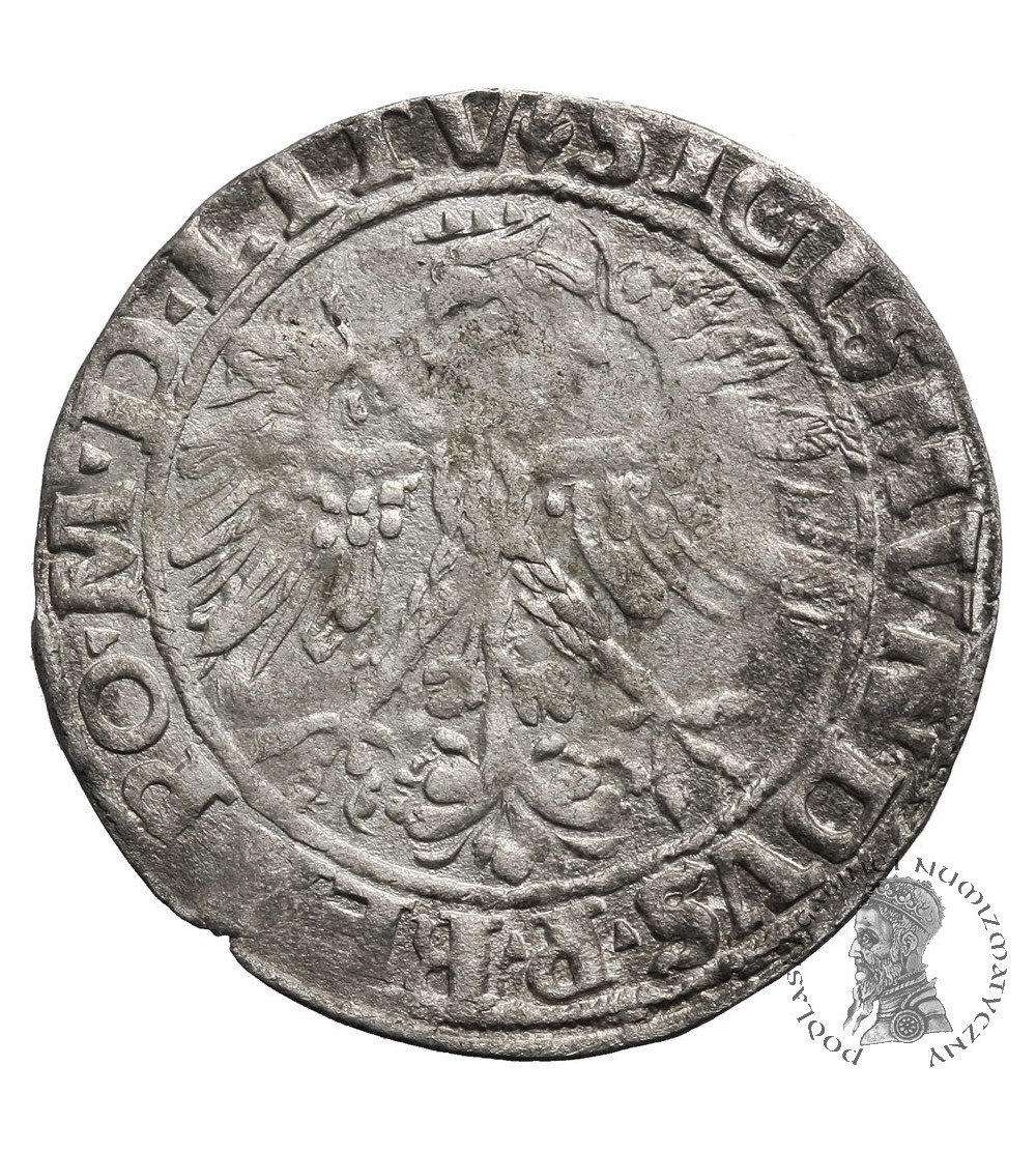 Poland / Lithuanian, Zygmunt I Stary 1506-1548. Lithuanian Grosz (Groschen) 1535 N (November), Vilnius mint
