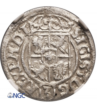 Poland, Zygmunt III Waza 1587-1632. Poltorak 1622, Bydgoszcz mint﻿ - NGC MS 62