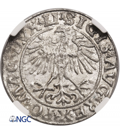 Polska, Zygmunt II August 1545-1572. Półgrosz litewski (1/2 grosza) 1551, Wilno - NGC MS 64