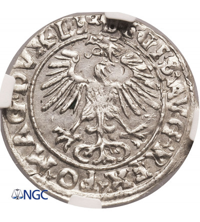 Polska, Zygmunt II August 1545-1572. Półgrosz litewski (1/2 grosza) 1555, Wilno - NGC MS 62