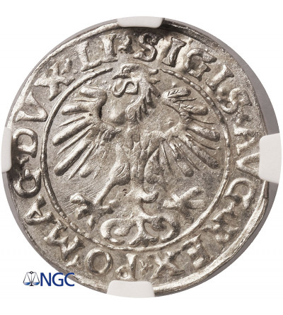 Poland / Lithuania, Zygmunt II August 1545-1572. Lithuanian Polgrosz (1/2 Grosza) 1555, Vilnius - NGC MS 63