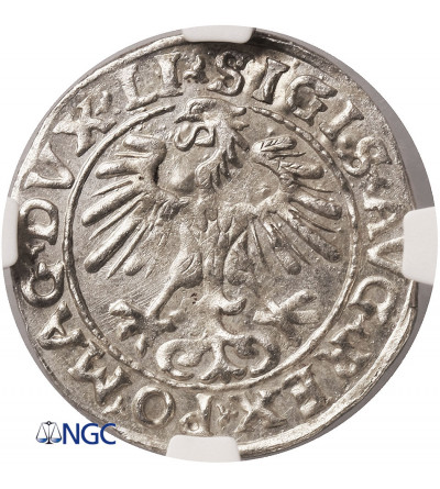 Polska, Zygmunt II August 1545-1572. Półgrosz litewski (1/2 grosza) 1555, Wilno - NGC MS 63