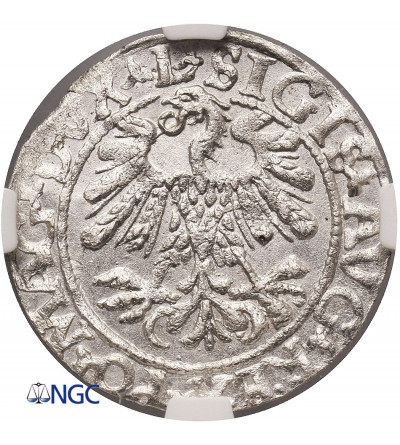 Poland / Lithuania, Zygmunt II August 1545-1572. Lithuanian Polgrosz (1/2 Grosza) 1559, Vilnius - NGC MS 61