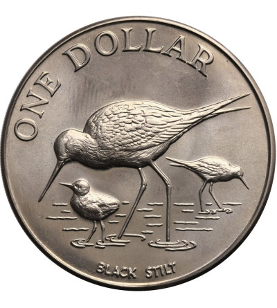 Nowa Zelandia, 1 dolar 1985 (c), Black Stilt (szczudłak czarny)