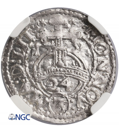 Poland / Lithunania, Zygmunt III Waza. Poltorak (1/24 thaler / Dreipölker) 1619, Vilnius mint - NGC MS61