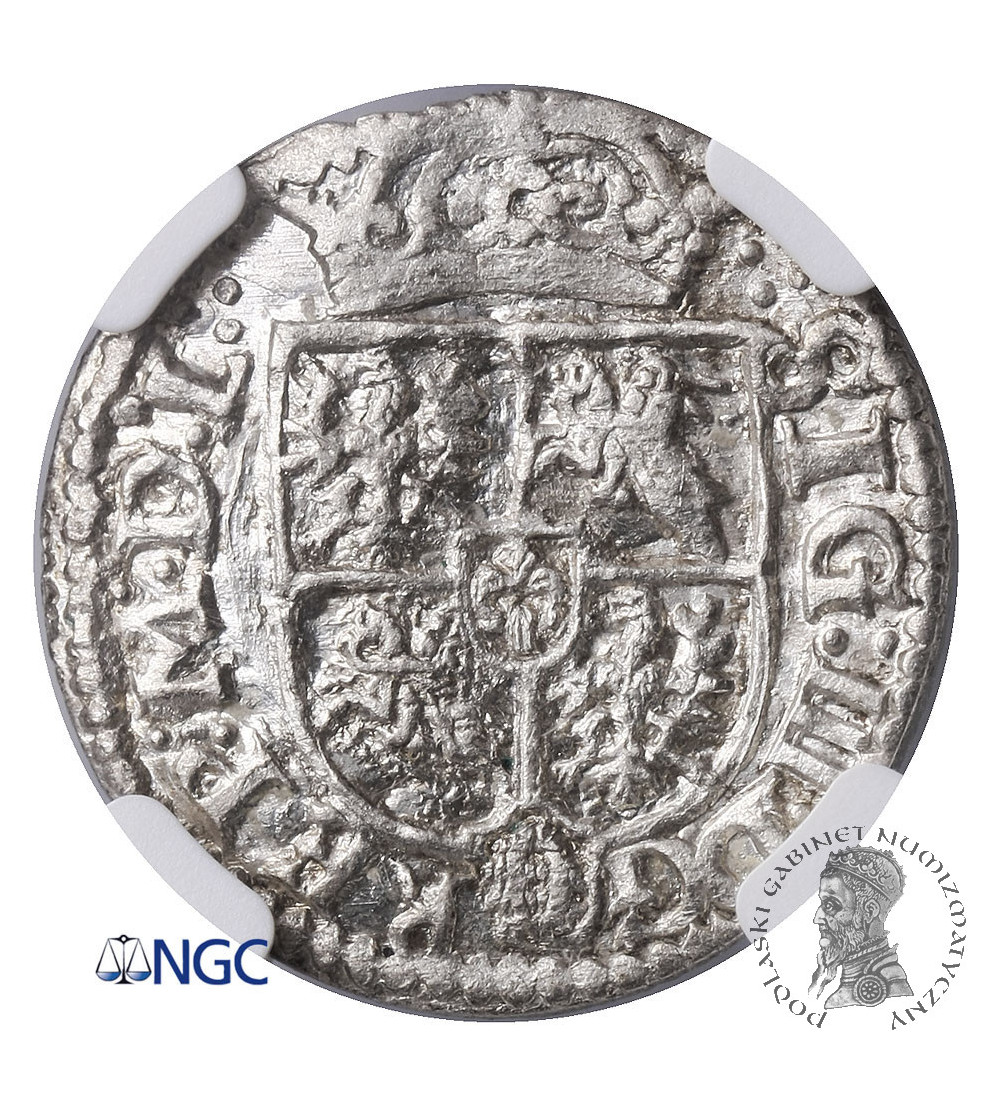 Poland / Lithunania, Zygmunt III Waza. Poltorak (1/24 thaler / Dreipölker) 1619, Vilnius mint - NGC MS66 Top Pop!!!