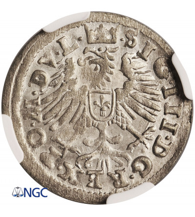 Poland / Lithuania, Sigismund III Vasa 1587-1632. Lithuanian Grosz 1608, Vilnius mint - NGC MS 66+ (Top!!! Pop)