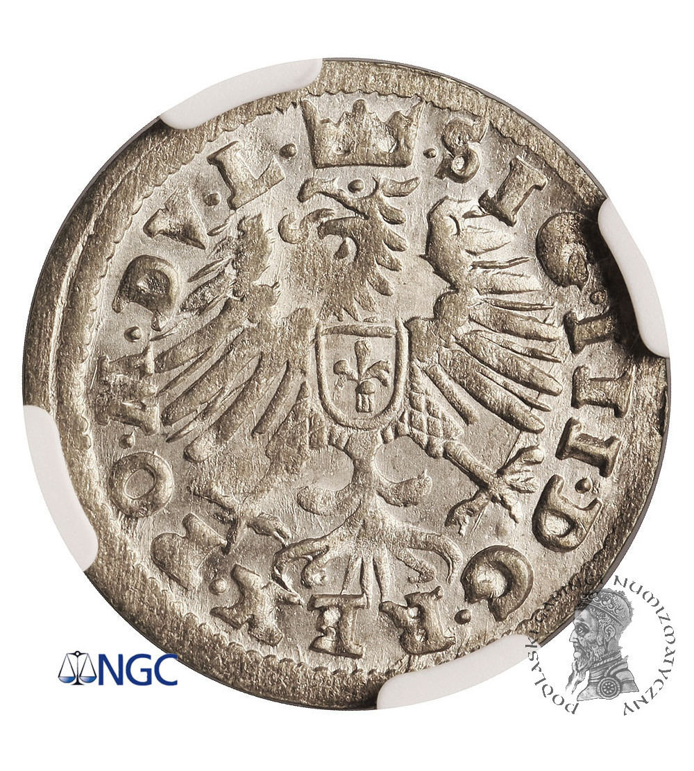 Polska, Zygmunt III Waza 1587-1632. Grosz litewski 1608, Wilno - NGC MS 66+ (Top !!!)