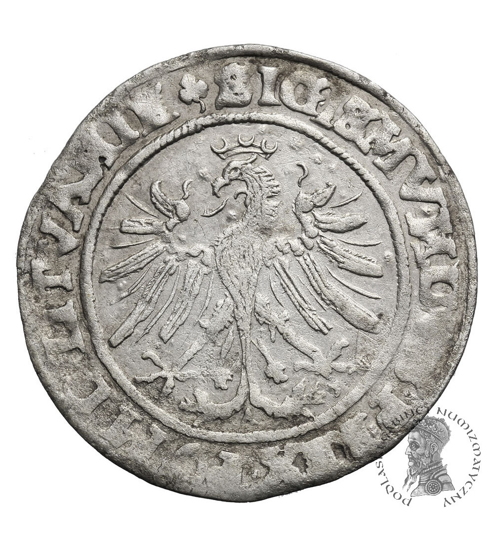 Polska. Zygmunt I Stary 1506-1548. Grosz litewski 1535, Wilno (LITVANIE / LITVA)