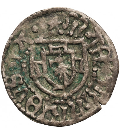 Zakon Krzyżacki. Henryk Reffle von Richtenberg 1470–1477. Szeląg bez daty, Królewiec - błąd hINRIOVS