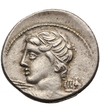 Rzym Republika, C. Licinius L. f. Macer. AR Denar, 84 r. p.n.e., mennica Rzym