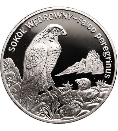 Poland. 20 Zlotych 2008, Peregrine falcon - Proof