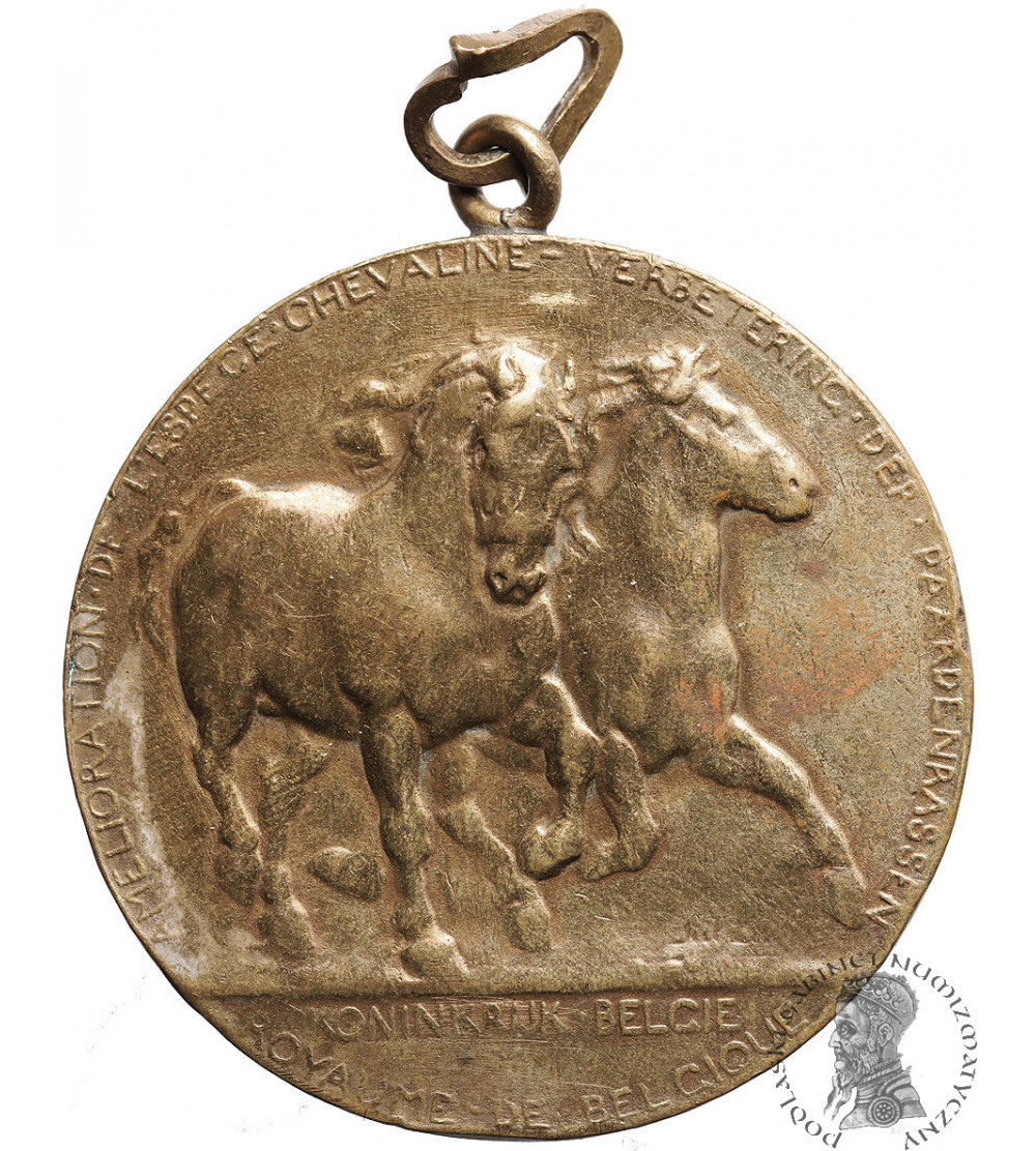 Belgium, Namur 1907. Horse exhibition commemorative medal
