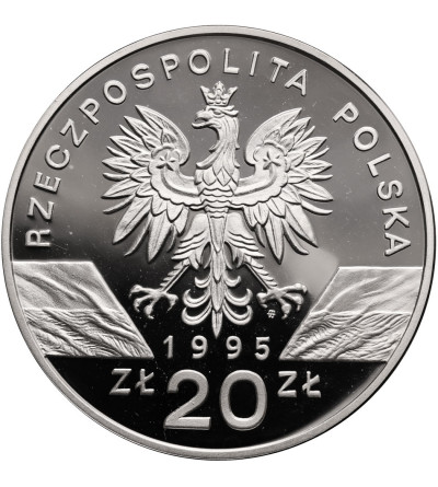 Polska. 20 złotych 1995, Sum