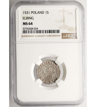 Polska, Zygmunt I Stary 1506-1548. Szeląg 1531, Elbląg - NGC MS 64