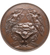 France, Napoleon III 1852-1870. Medal commemorating the gift of a cradle to the emperor's son by the city of Paris, 1856