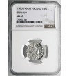 Poland. Ladislaus Jagiello 1386–1434. Half Groschen ND (ca. 1396-1398), Krakow (letter N) - NGC MS 63